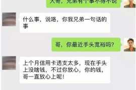 南阳南阳的要账公司在催收过程中的策略和技巧有哪些？